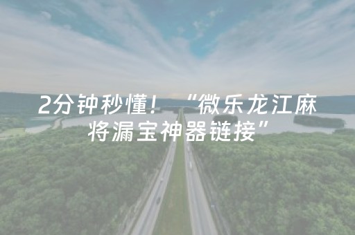 2分钟秒懂！“微乐龙江麻将漏宝神器链接”（详细透视教程）-哔哩哔哩