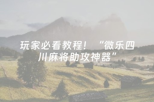 玩家必看教程！“微乐四川麻将助攻神器”（详细辅助教程）-哔哩哔哩