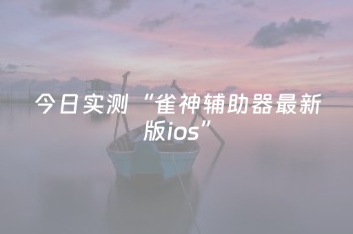 今日实测“雀神辅助器最新版ios”（详细透视教程）-哔哩哔哩