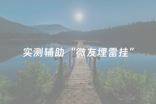 实测辅助“微友埋雷挂”（详细透视教程）-哔哩哔哩
