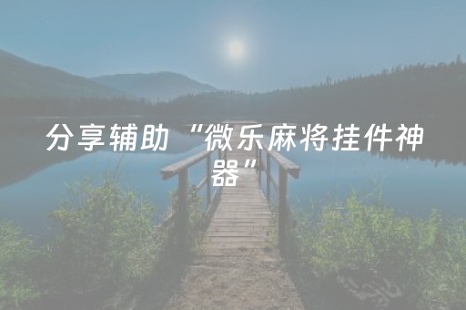 分享辅助“微乐麻将挂件神器”（详细透视教程）-哔哩哔哩