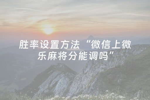 胜率设置方法“微信上微乐麻将分能调吗”（详细透视教程）-哔哩哔哩