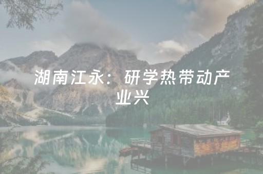 盘点十款“微信小程序辽宁麻将辅牌器”（辅助挂发牌规律)