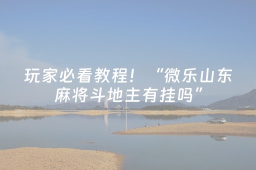 玩家必看教程！“微乐山东麻将斗地主有挂吗”（详细辅助教程）-哔哩哔哩