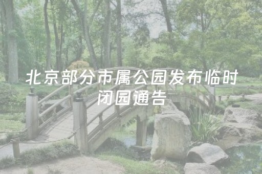 推荐十款“微信小程序三代必赢神器辅助器”（透明器教程)