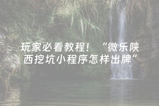 玩家必看教程！“微乐陕西挖坑小程序怎样出牌”（详细开挂教程）-哔哩哔哩