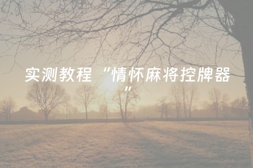 实测教程“情怀麻将控牌器”（详细透视教程）-哔哩哔哩