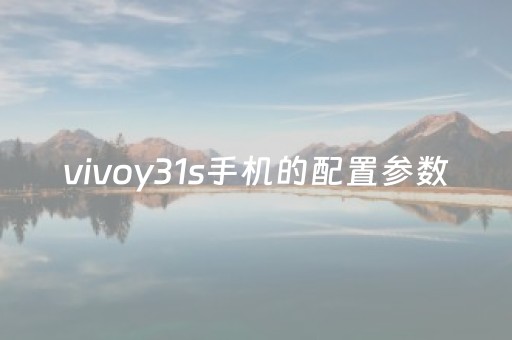 vivoy31s手机的配置参数（vivoy31s手机的配置参数价格）