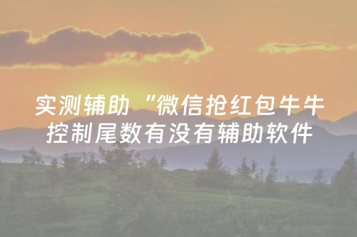 实测辅助“微信抢红包牛牛控制尾数有没有辅助软件助手”（详细透视教程）-哔哩哔哩