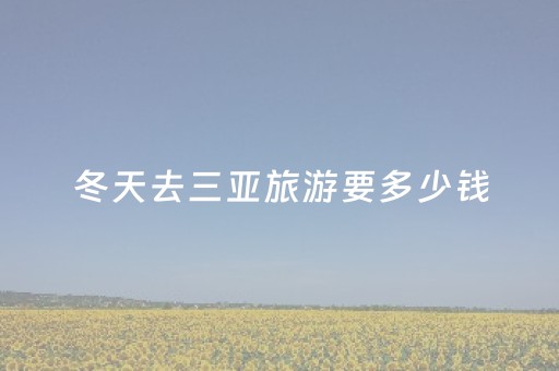冬天去三亚旅游要多少钱（冬天去三亚旅游要多少钱一个月）
