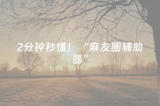 2分钟秒懂！“麻友圈辅助器”（详细开挂教程）-哔哩哔哩