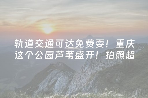 重大通报“微信小程序内蒙麻将助赢神器购买”（自建房胜负规律)
