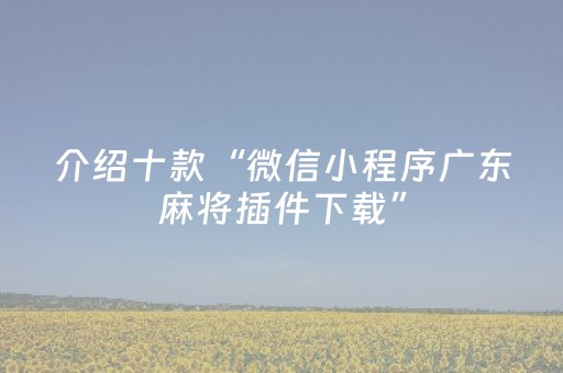 介绍十款“微信小程序广东麻将插件下载”（控牌神器)