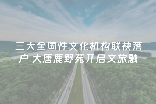 安装程序教程“打麻将的猫腻”（自建房胜负规律)