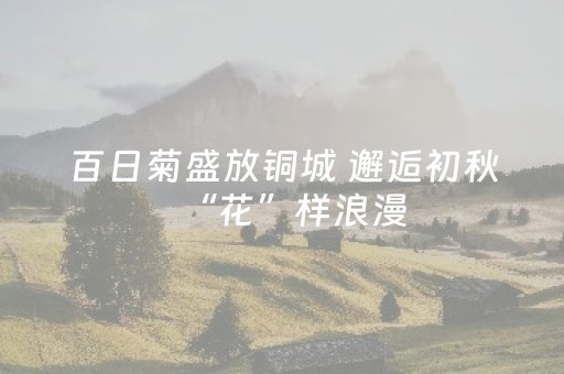 玩家必备教程“财神十三张是怎么控制胜率”（专用神器下载)