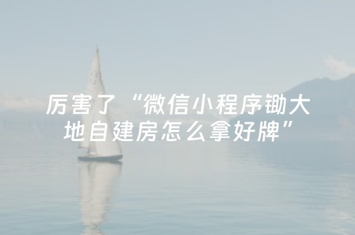 厉害了“微信小程序锄大地自建房怎么拿好牌”（怎么提高胜率)