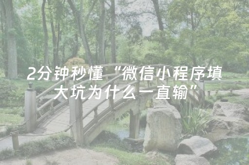 7分钟揭秘“微小程序龙江麻将有什么规律”（辅牌器插件购买)