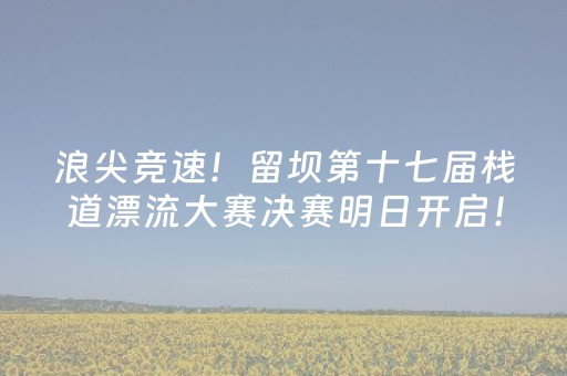 给玩家盘点十款“财神十三张助赢神器”（辅牌器插件购买)