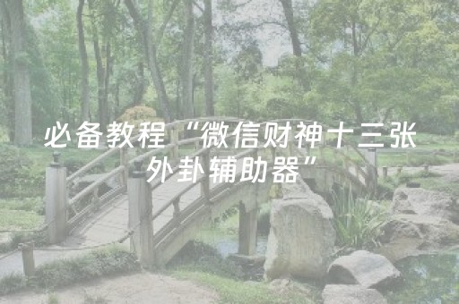 必备教程“微信财神十三张外卦辅助器”（开挂辅助器插件)