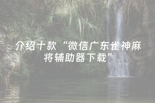 介绍十款“微信广东雀神麻将辅助器下载”（好友房怎么才能赢)