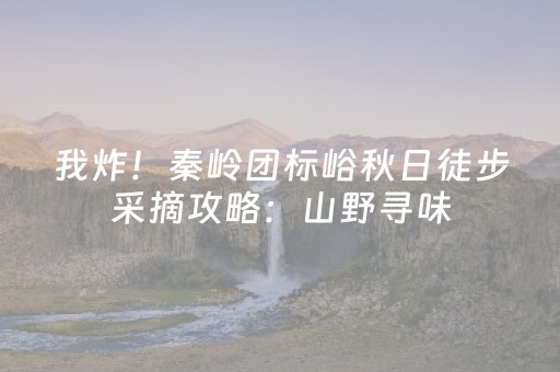 我来教大家“微信小程序宁夏麻将助赢神器”（必赢神器)