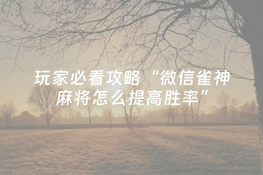 玩家必看攻略“微信雀神麻将怎么提高胜率”（插件开挂免费AI)