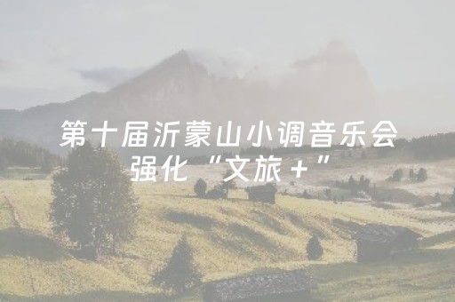 “爨乡中医药文化夜市”打造文旅健康融合新名片