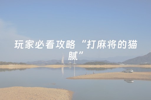 玩家必看攻略“打麻将的猫腻”（骗局大揭秘)