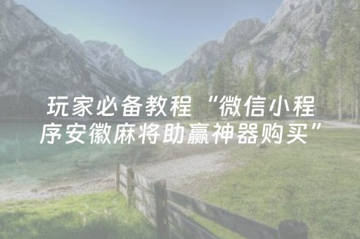 玩家必备教程“微信小程序安徽麻将助赢神器购买”（怎么控制输赢)