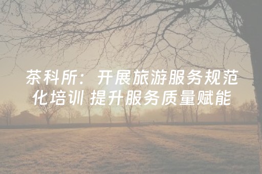 茶科所：开展旅游服务规范化培训 提升服务质量赋能文旅发展