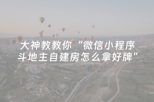 大神教教你“微信小程序斗地主自建房怎么拿好牌”（辅助器下载)