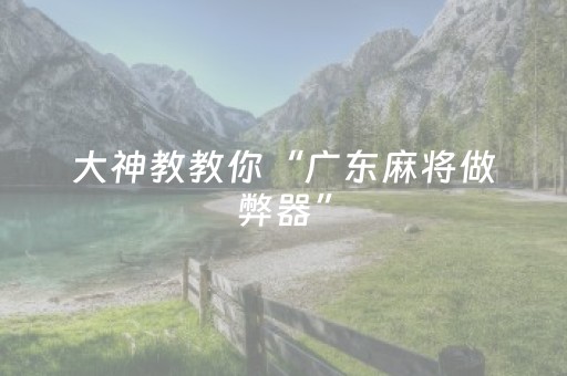 大神教教你“广东麻将做弊器”（辅助神器免费)