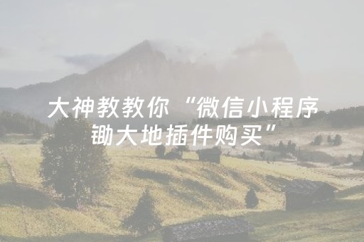 大神教教你“微信小程序锄大地插件购买”（万能开挂器)