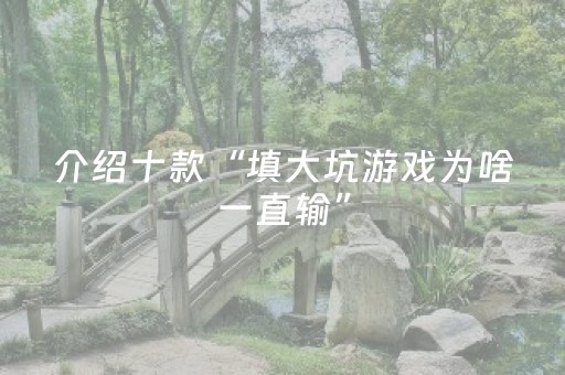 介绍十款“填大坑游戏为啥一直输”（专用神器)