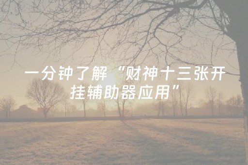 一分钟了解“财神十三张开挂辅助器应用”（提高胜率技巧)