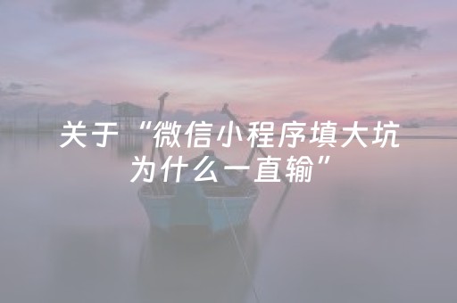 关于“微信小程序填大坑为什么一直输”（是否能开挂)
