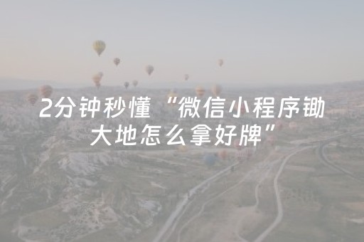 2分钟秒懂“微信小程序锄大地怎么拿好牌”（辅牌器插件购买)
