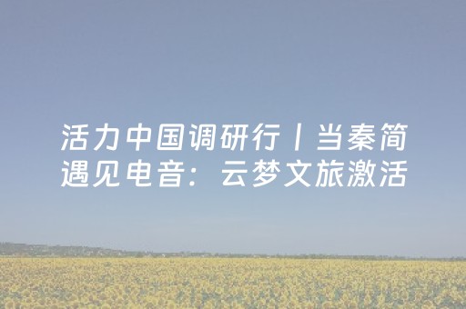 安装程序教程“微信跑得快怎么让系统发好牌”（辅牌器插件购买)