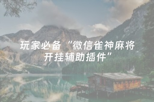 玩家必备“微信雀神麻将开挂辅助插件”（开挂辅助器插件)