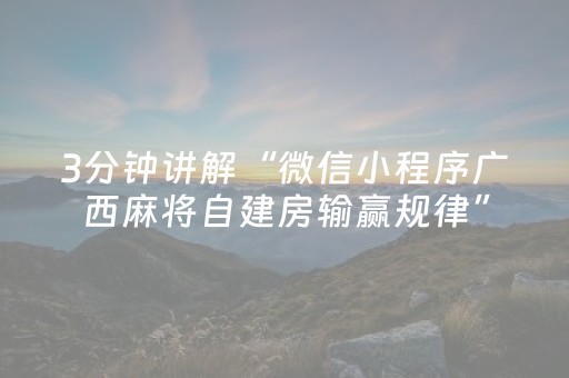 3分钟讲解“微信小程序广西麻将自建房输赢规律”（专用神器)