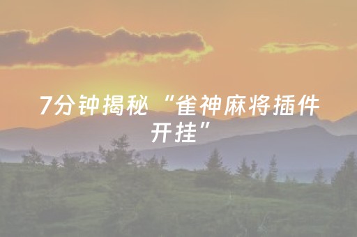 7分钟揭秘“雀神麻将插件开挂”（万能开挂器)