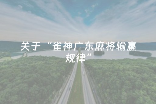 关于“雀神广东麻将输赢规律”（做弊器软件下载)