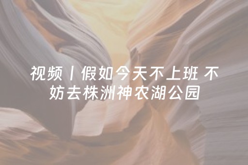 视频丨假如今天不上班 不妨去株洲神农湖公园