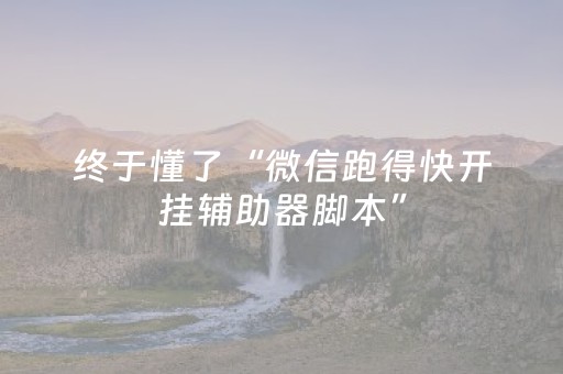 终于懂了“微信跑得快开挂辅助器脚本”（开挂辅助器插件)