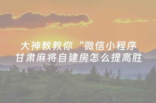 大神教教你“微信小程序甘肃麻将自建房怎么提高胜率”（万能开挂器)