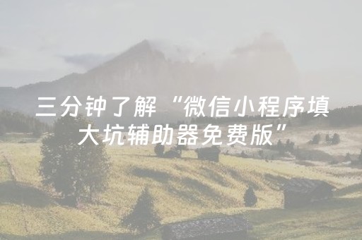 三分钟了解“微信小程序填大坑辅助器免费版”（控牌神器)