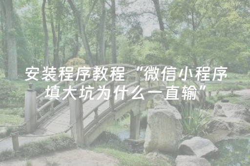 安装程序教程“微信小程序填大坑为什么一直输”（自建房胜负规律)