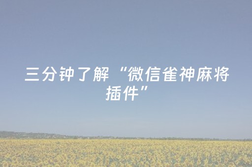 三分钟了解“微信雀神麻将插件”（开挂辅助器插件)