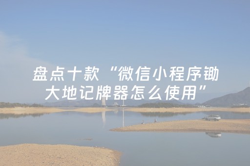 盘点十款“微信小程序锄大地记牌器怎么使用”（辅助器插件)