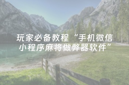 玩家必备教程“手机微信小程序麻将做弊器软件”（开挂辅助器插件)